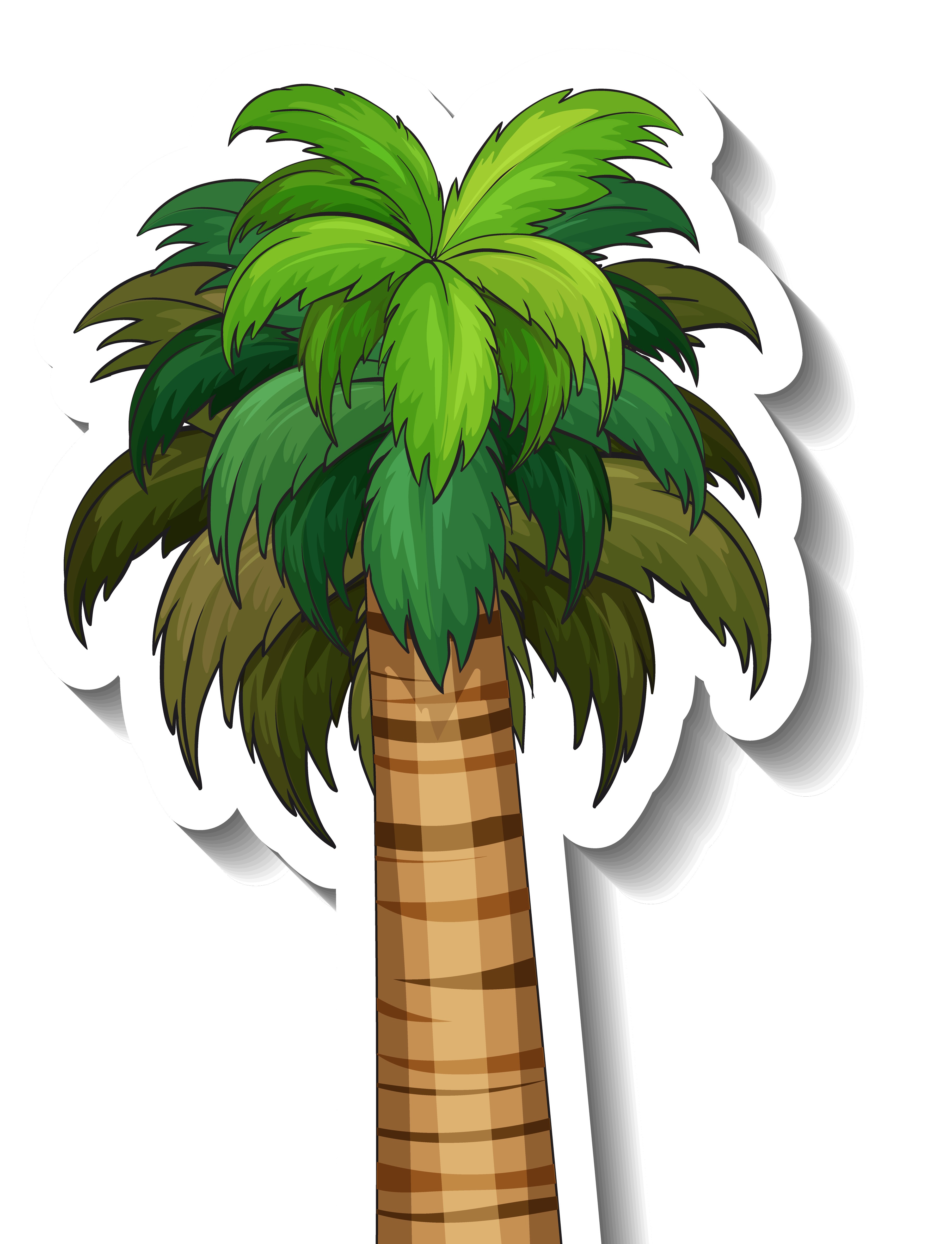 Palm tree