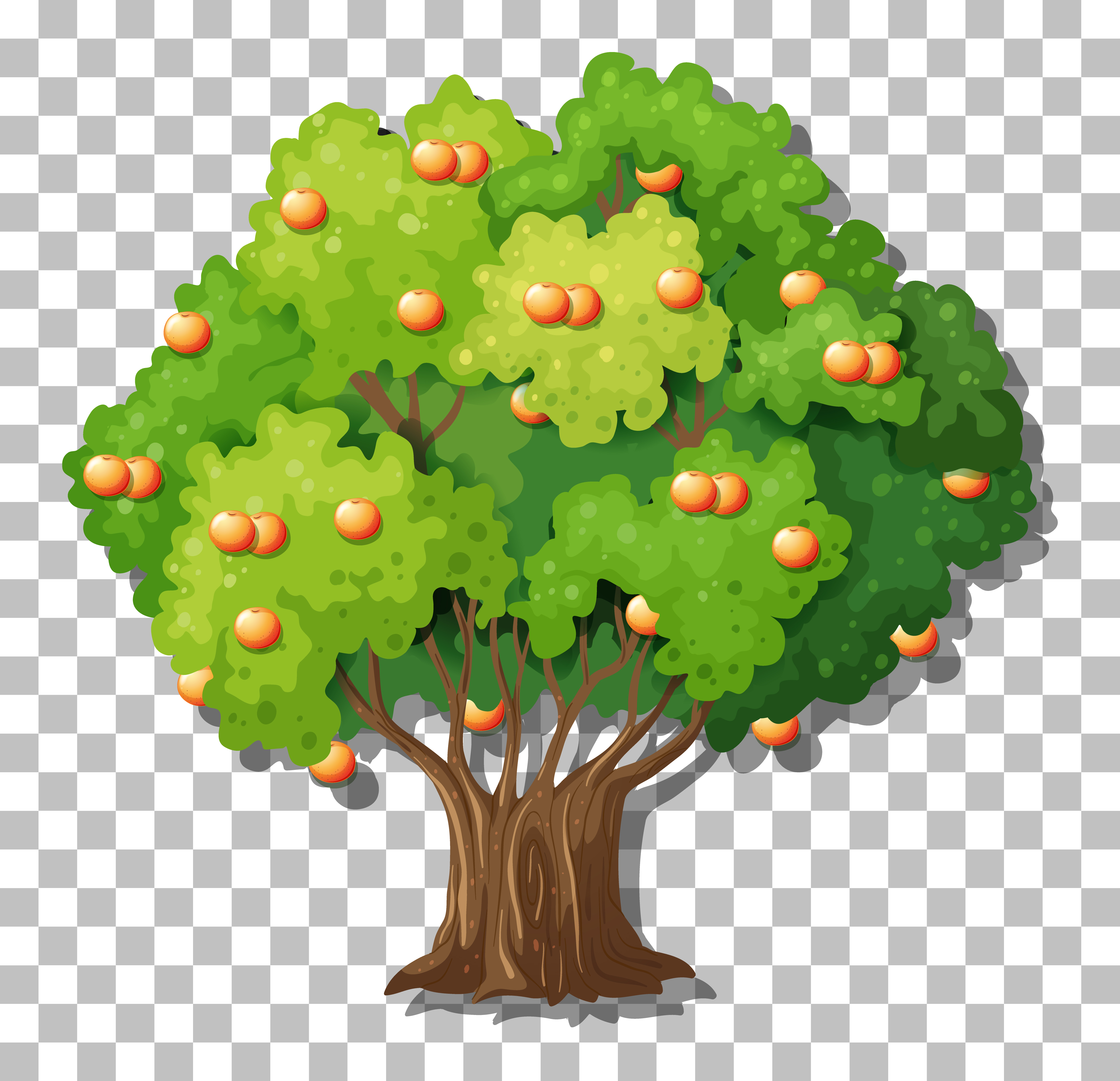 Peach tree